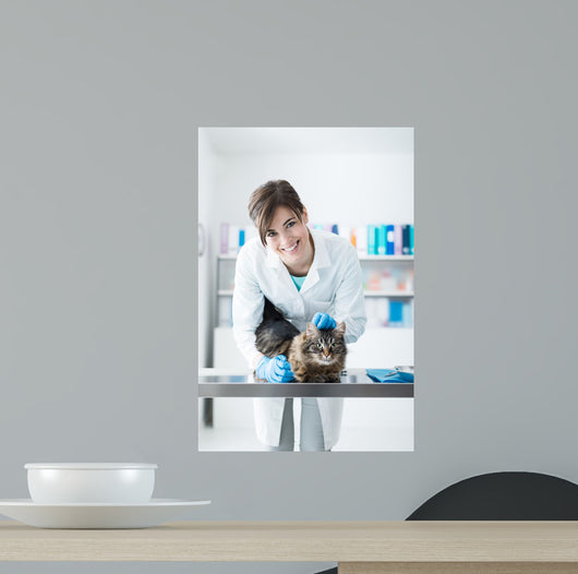 Veterinarian Examining Cat Surgical Wall Decal