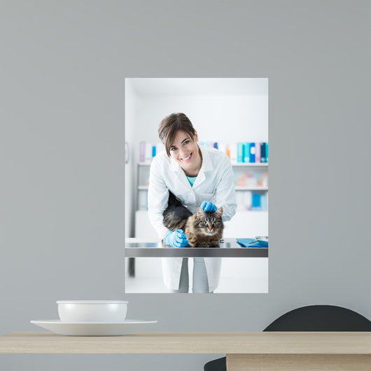 Veterinarian Examining Cat Surgical Wall Decal