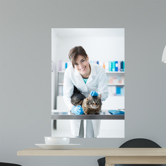 Veterinarian Examining Cat Surgical Wall Decal