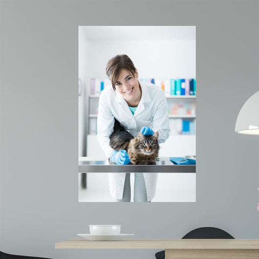 Veterinarian Examining Cat Surgical Wall Decal