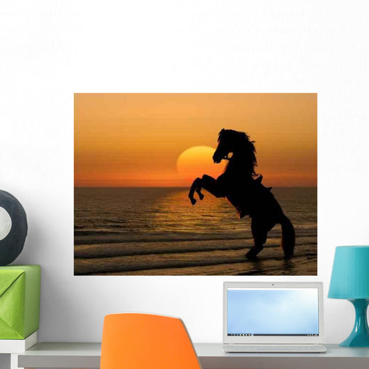 Horse Sunrise Wall Decal