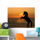 Horse Sunrise Wall Decal