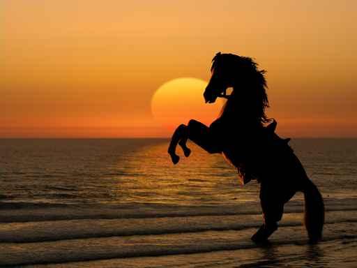 Horse Sunrise Wall Decal