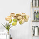Heap Pistachios Nuts Wall Decal