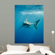 Pacific Great White Shark Wall Decal