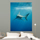 Pacific Great White Shark Wall Decal