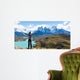 Man Hiking Patagonia Wall Decal