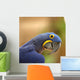 Blue Macaw Parrot Wall Decal