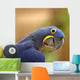 Blue Macaw Parrot Wall Decal