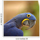 Blue Macaw Parrot Wall Decal