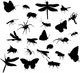 Twenty Four Insect Silhouettes Wall Stickers Wall Decal