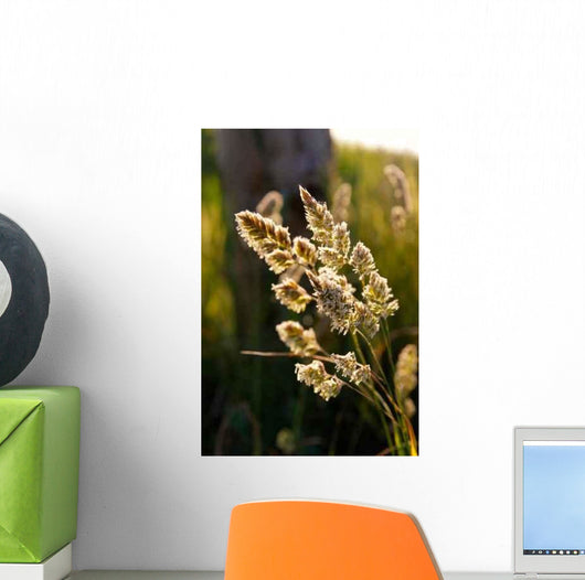 Nature Wall Decal Design 10