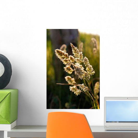 Nature Wall Decal Design 10