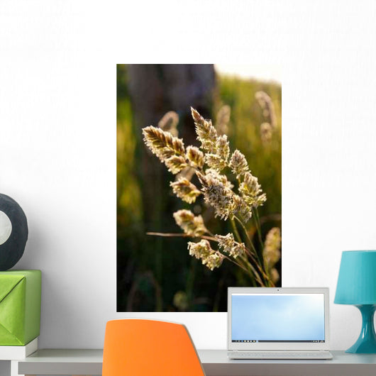 Nature Wall Decal Design 10