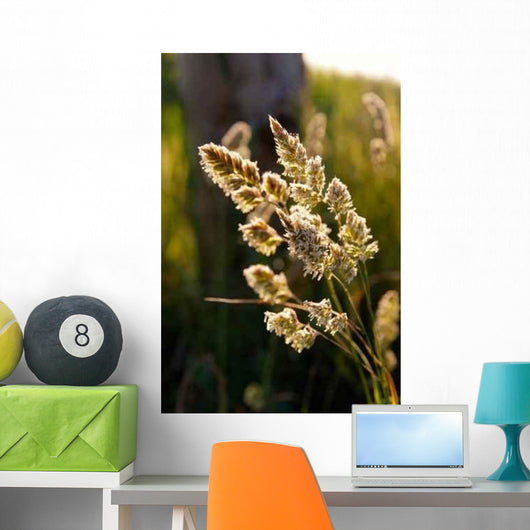 Nature Wall Decal Design 10