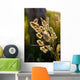 Nature Wall Decal Design 10