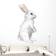 White Rabbit Wall Decal