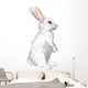 White Rabbit Wall Decal