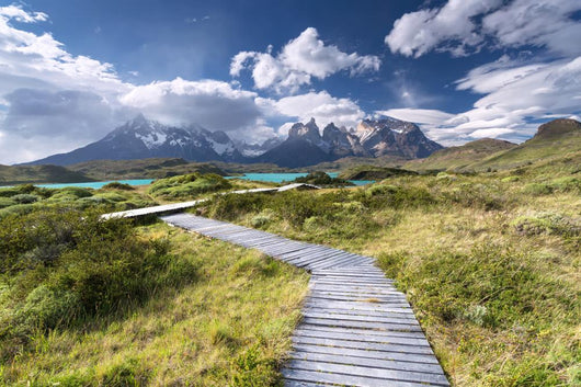Torres Del Paine National Wall Decal