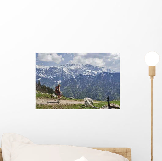Walk Mountain Wall Decal