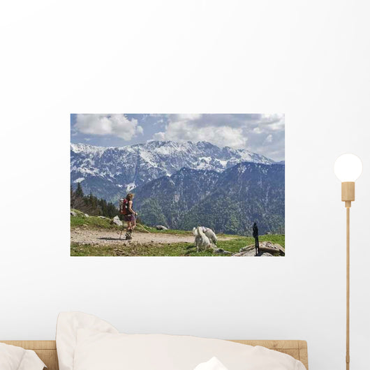 Walk Mountain Wall Decal