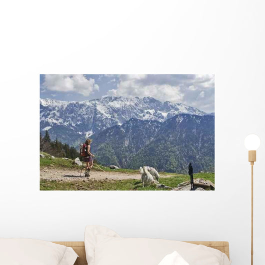 Walk Mountain Wall Decal