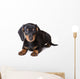 Dachshund Puppy Wall Decal