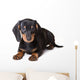 Dachshund Puppy Wall Decal