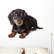 Dachshund Puppy Wall Decal