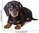 Dachshund Puppy Wall Decal