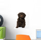 Springerpoo Puppy Dog Wall Decal