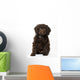 Springerpoo Puppy Dog Wall Decal
