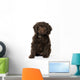 Springerpoo Puppy Dog Wall Decal