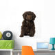 Springerpoo Puppy Dog Wall Decal