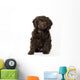 Springerpoo Puppy Dog Wall Decal