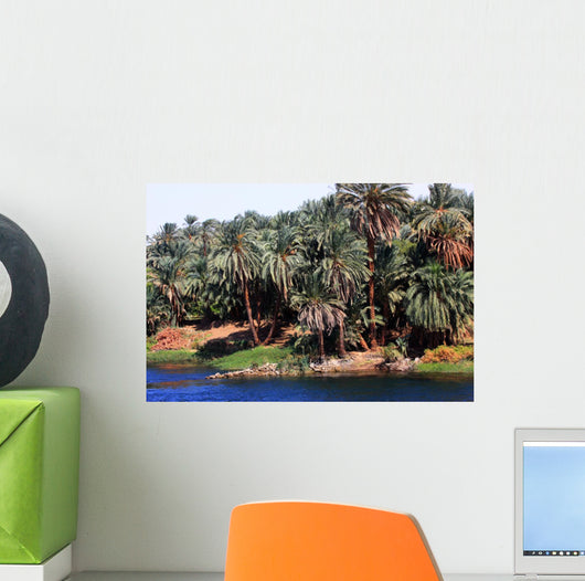 Palmeto Lungo Il Fiume Wall Decal