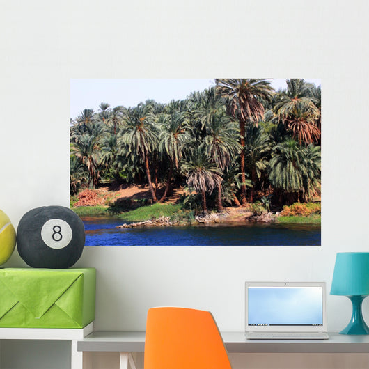 Palmeto Lungo Il Fiume Wall Decal
