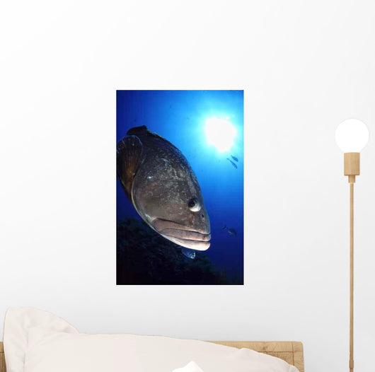 Merou Tascons Wall Decal