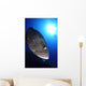 Merou Tascons Wall Decal
