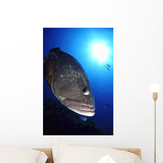 Merou Tascons Wall Decal