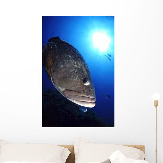 Merou Tascons Wall Decal