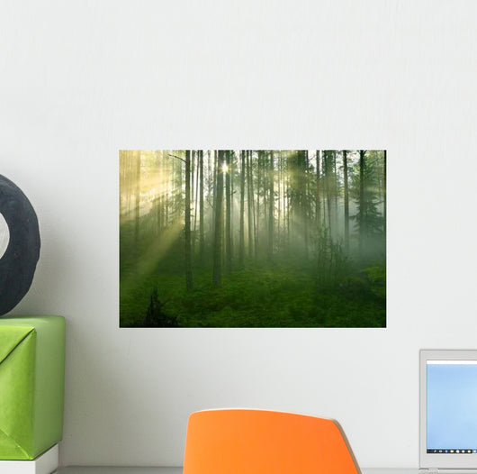 Forest Morning Sun Rays Wall Decal