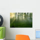 Forest Morning Sun Rays Wall Decal