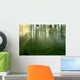 Forest Morning Sun Rays Wall Decal
