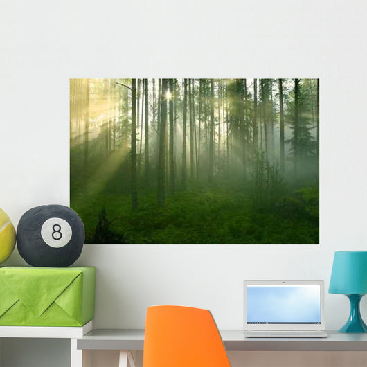 Forest Morning Sun Rays Wall Decal