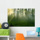 Forest Morning Sun Rays Wall Decal