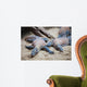 Famous Komodo Dragon World Wall Decal