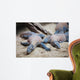 Famous Komodo Dragon World Wall Decal