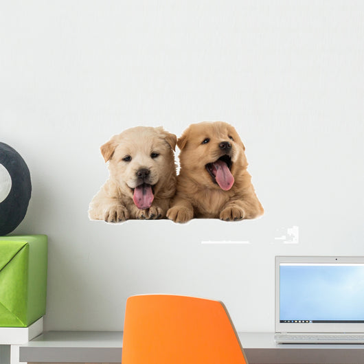 Fluffy Chow-chow Puppies Wall Decal