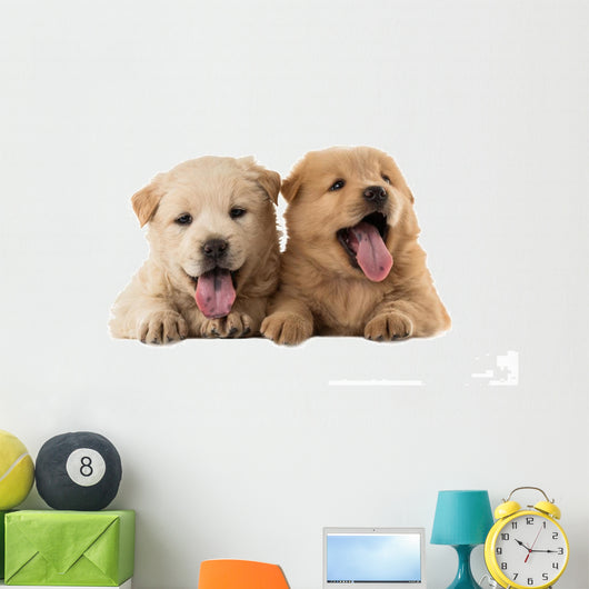 Fluffy Chow-chow Puppies Wall Decal